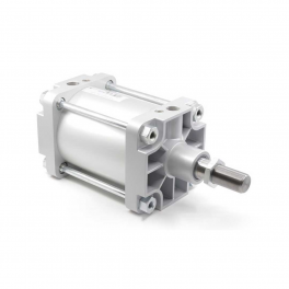 Пневмоцилиндр PMBYA-250-900 Pemaks